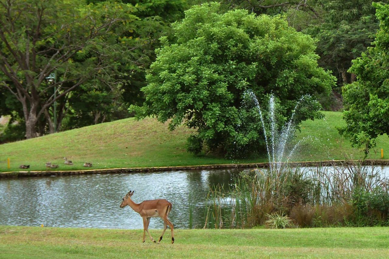 Kruger Park Lodge Unit No. 543 Hazyview Zewnętrze zdjęcie